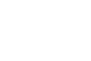 copy of untitled design 12